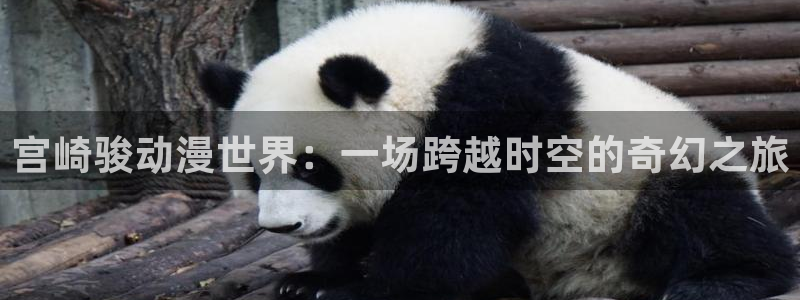 多罗罗免费风车动漫：宫崎骏动漫世界：一场跨越时空的奇幻之旅