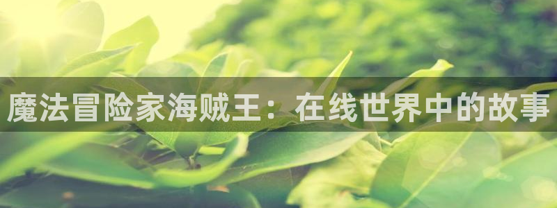 风车动漫人物：魔法冒险家海贼王：在线世界中的故事