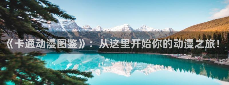 风车动漫黑兽：《卡通动漫图鉴》：从这里开始你的动漫之旅！