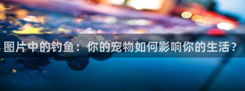 风车动漫网站大全：图片中的钓鱼：你的宠物如何影响你的生活？